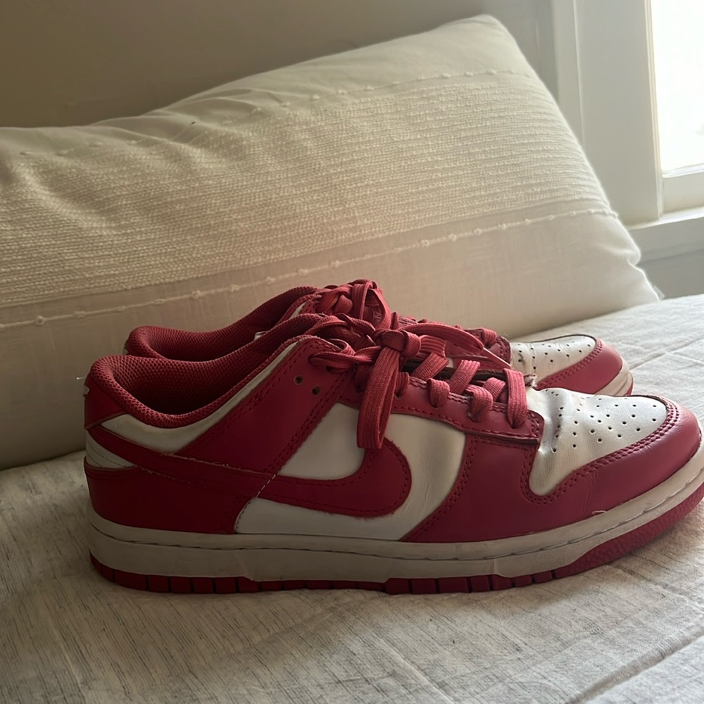 nike dunks